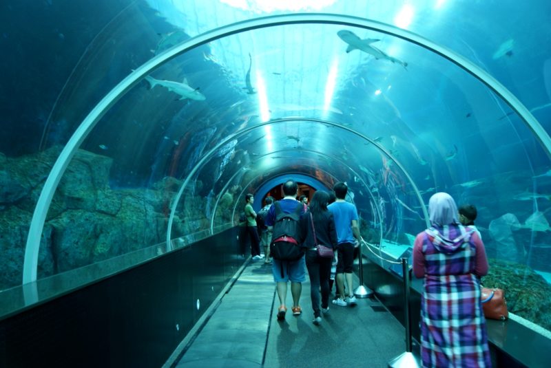 тоннель океанариума в Дурбане с прогуливающимися посетителями