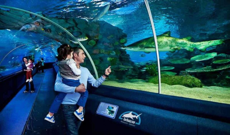 тоннель стамбульского аквариума Туркуазоо - папа с дочкой рассматривают акулу