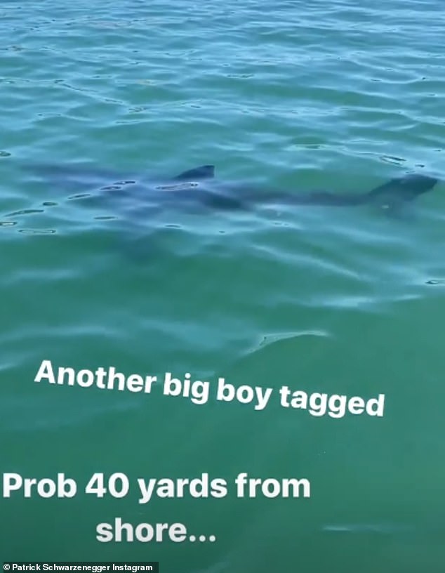 Sighting: The model seems to often spend his time at the beach, as he took to Instagram on Sunday to share a glimpse of a huge shark that had come close to shore