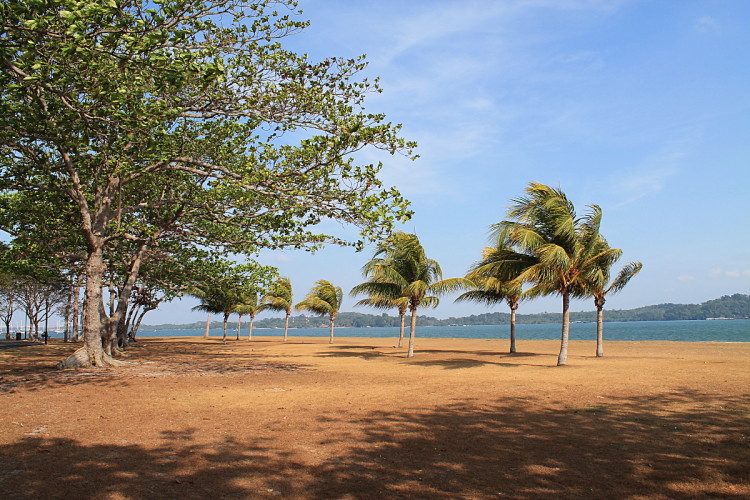Changi Park - home to one of the best beaches in Singapore