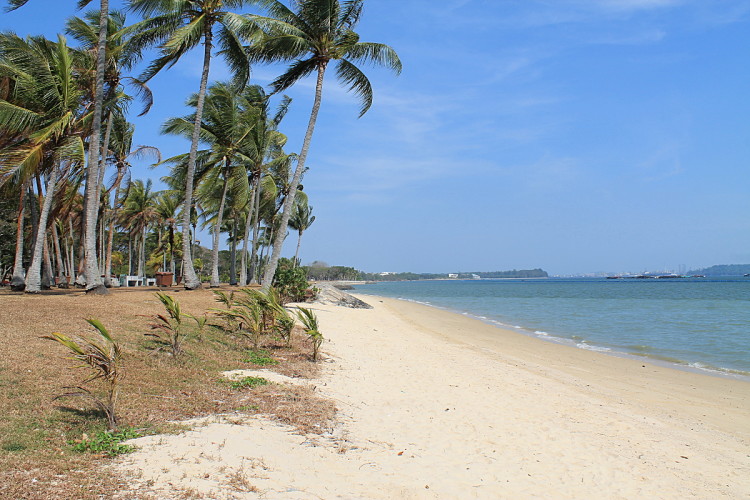 Pasir Ris Park, home to one of the best beaches in Singapore