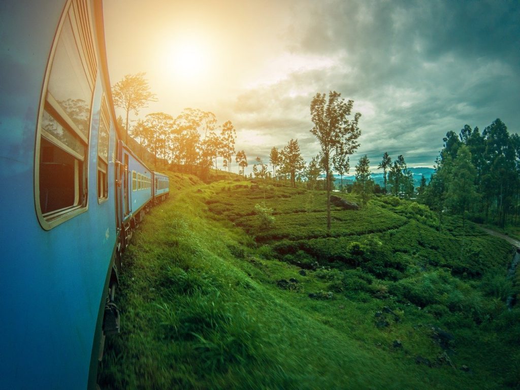 Поездка на Шри-Ланке