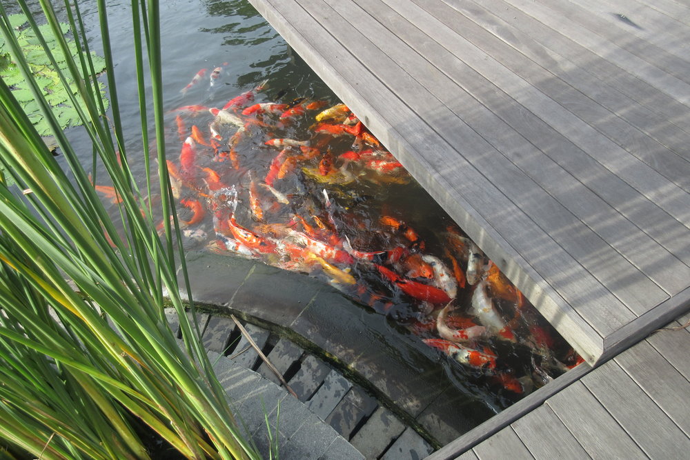 The Ritz-Carlton, Bali – Koi pond