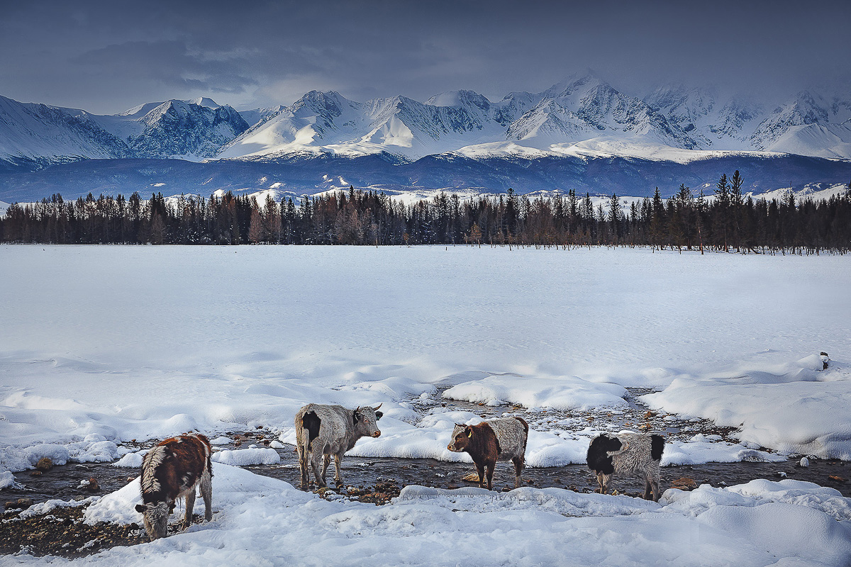 Белая гора. Фото: Сергей Сутковой
