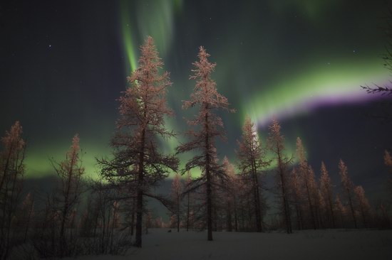 Polar Lights, Novy Urengoy, Russia, photo 1
