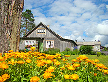 Summer in Karelia