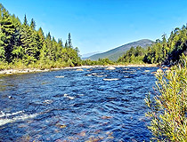 Small river in the Zabaykalsky region