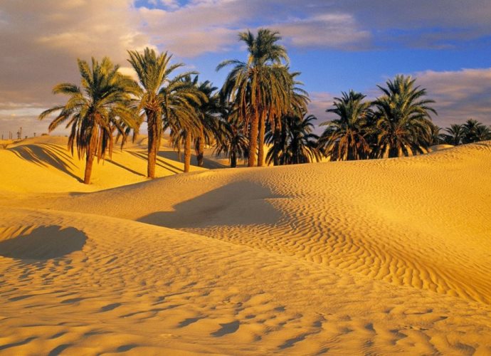 Самая большая пустыня в мире 4