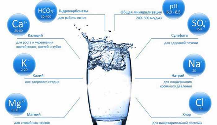 Абхазия зимой. Фото, погода, отдых, отзывы туристов, горячие источники