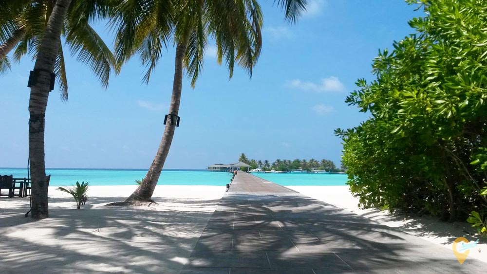 стоимость отдыха на Мальдивах
