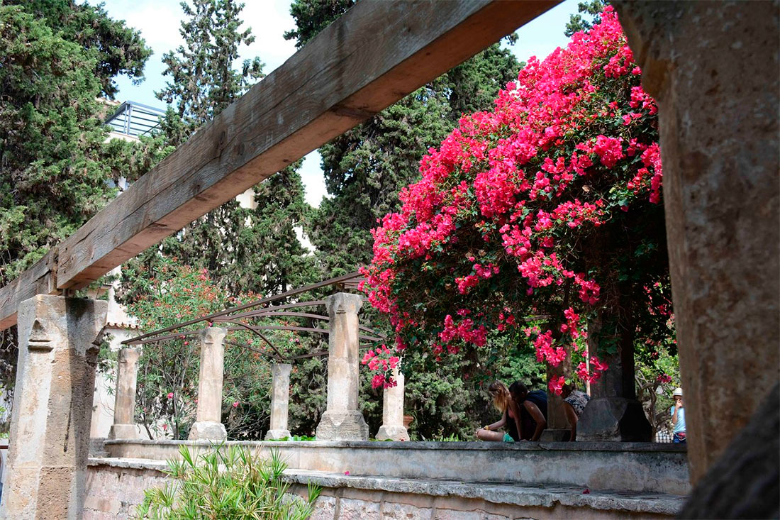 Ботанический сад Харди дель Бисбе 