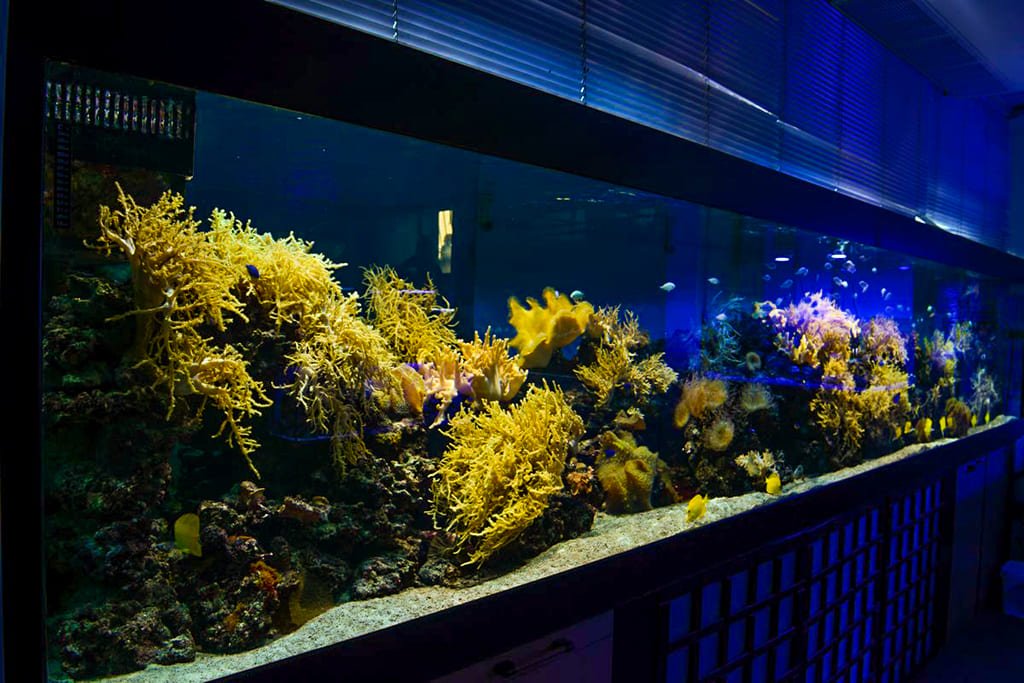 Московский аквариум