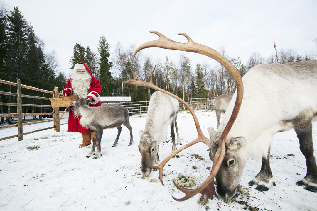 meet-reindeers-of-father-christmas