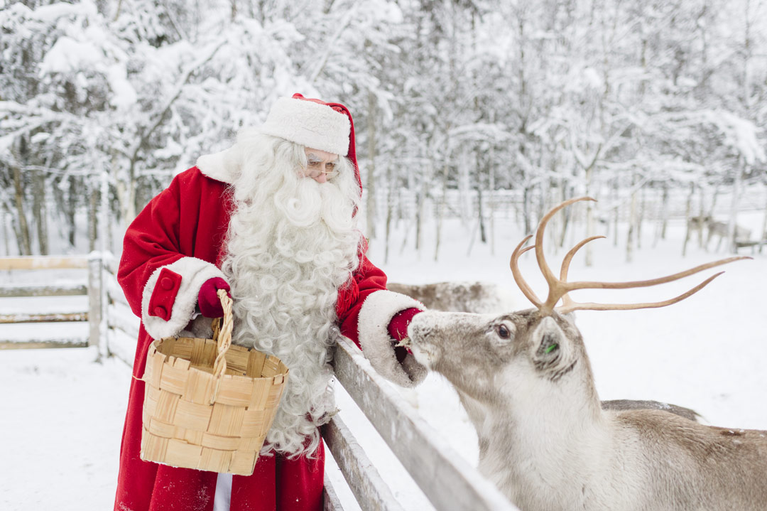 reindeers-of-santa-claus