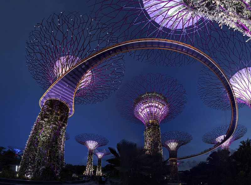 Illuminate Supertrees, Gardens by the Bay, Singapore