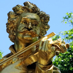 Head of Strauss