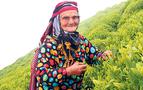 В страну, где растят чай: Ризе и земли лазов